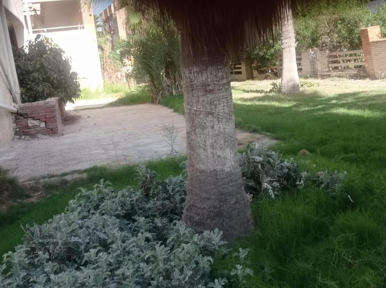 Apartment Isis Shahrazad Sea View In